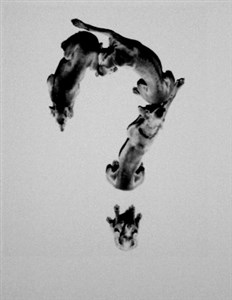 Image description is not available for 2001.092